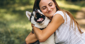 Não é onde você faz carinho: os truques pouco conhecidos para que um cachorro confie em você, segundo especialistas