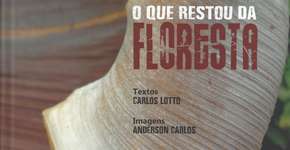 Foto: (Foto: Divulgação.)