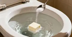 O truque genial da vovó: assim você deixa o vaso sanitário brilhando sem nem um esforço