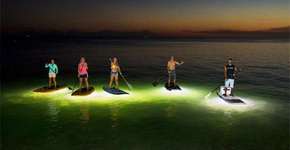 Foto: (Imagem sem texto alternativo disponivel ID [527139])