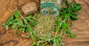 Além de estimular a produção de colágeno, este tempero ajuda a prevenir o câncer