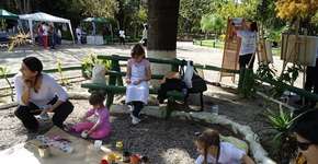 Sensibilização para Educação: A Educação Não-Formal e Valores Culturais