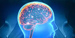 Estudo da University College London revela sinal de Alzheimer que surge a partir dos 40 anos