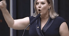 Foto: (reprodução TV Câmara)