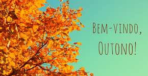 Foto: (Imagem sem texto alternativo disponivel ID [1844697])