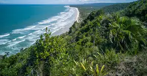 Foto: (Istock/gustavomellossa)