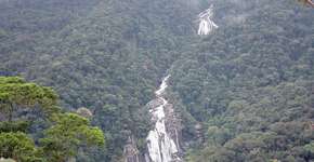 Foto: (Prefeitura de Bertioga/Divulgação)