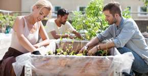 Foto: (Getty Images/Maskot)