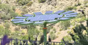 Foto: (Imagem sem texto alternativo disponivel ID [1833489])