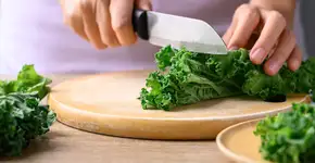 Foto: (iStock/Nungning20)