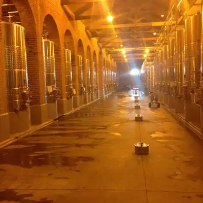 O vinho é mantido em grandes tonéis e a fermentação libera gás carbônico. O suco é separado do mosto e filtrado. 