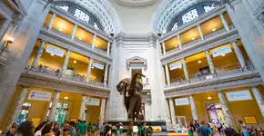 Washington, DC é reduto para apaixonados por filmes e séries