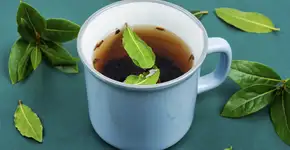 Foto: (Nikolay_Donetsk/istock)