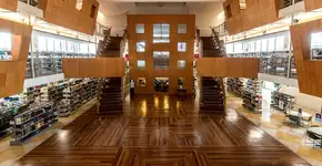 Foto: (Imagem sem texto alternativo disponivel ID [1073482])