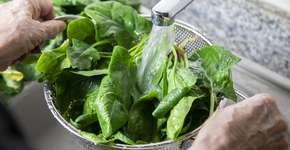 Vegetais que ajudam a prevenir doenças crônicas