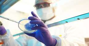 Foto: (Reptile8488/istock)