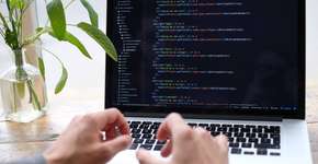 Foto: (Unsplash/Divulgação)