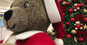 Foto: (Imagem sem texto alternativo disponivel ID [2186463])