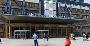 Foto: (Jaap2/iStock)