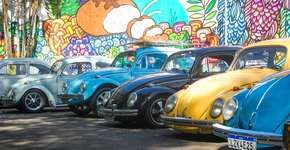 Foto: (Imagem sem texto alternativo disponivel ID [2219279])