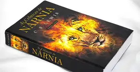 Foto: (Imagem sem texto alternativo disponivel ID [516536])