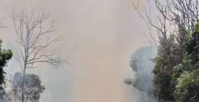 Fumaça de incêndios da Austrália chega ao Rio Grande do Sul