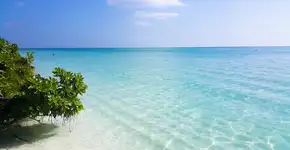 Foto: (Istock/Psyche_Q)