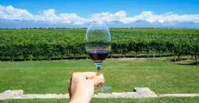 Vinho argentino orgânico e premiado com 50% de desconto