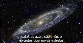 Foto: (Imagem sem texto alternativo disponivel ID [1845351])