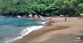 Foto: (Imagem sem texto alternativo disponivel ID [1867603])