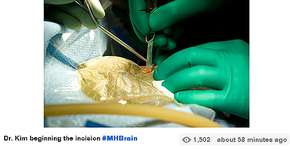 Foto: (Imagem sem texto alternativo disponivel ID [260049])