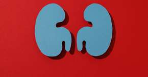 Foto: (Imagem sem texto alternativo disponivel ID [2764345])