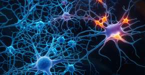 Cientistas descobrem hábito comum que contribui para o Alzheimer