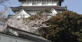 Foto: (Imagem sem texto alternativo disponivel ID [886864])