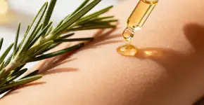 Foto: (Imagem sem texto alternativo disponivel ID [2673155])