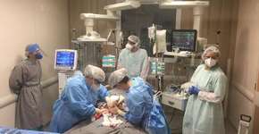 Foto: (Divulgação/Hospital das Clínicas)