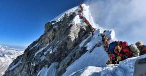 Foto: (Project Possible)