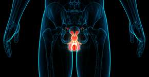 Foto: (Getty Images/iStockphoto)