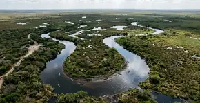 A Índia quer soltar cobras e crocodilos para controlar a difícil fronteira com Bangladesh.