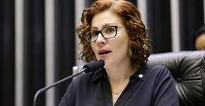 Foto: (Agência Câmara/ Michel Jesus)