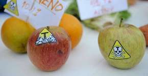 Foto: (Divulgação)