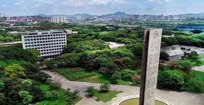 Foto: (USP/Divulgação)