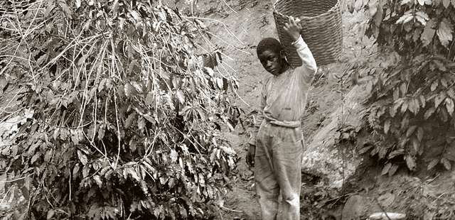 Kinoteca – Kinoforum na Cinemateca