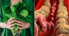 Foto: (knape/Naeblys/istock)