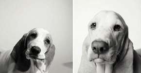 Foto: (Imagem sem texto alternativo disponivel ID [934947])