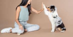 Foto: (Imagem sem texto alternativo disponivel ID [2712561])