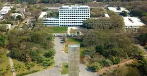 Estude na USP: 45 cursos gratuitos para aprimorar seu currículo