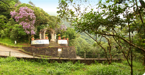 Foto: (Divulgação)