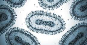 Foto: (BlackJack3D/istock)