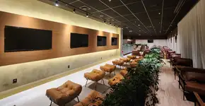 Foto: (Divulgação)